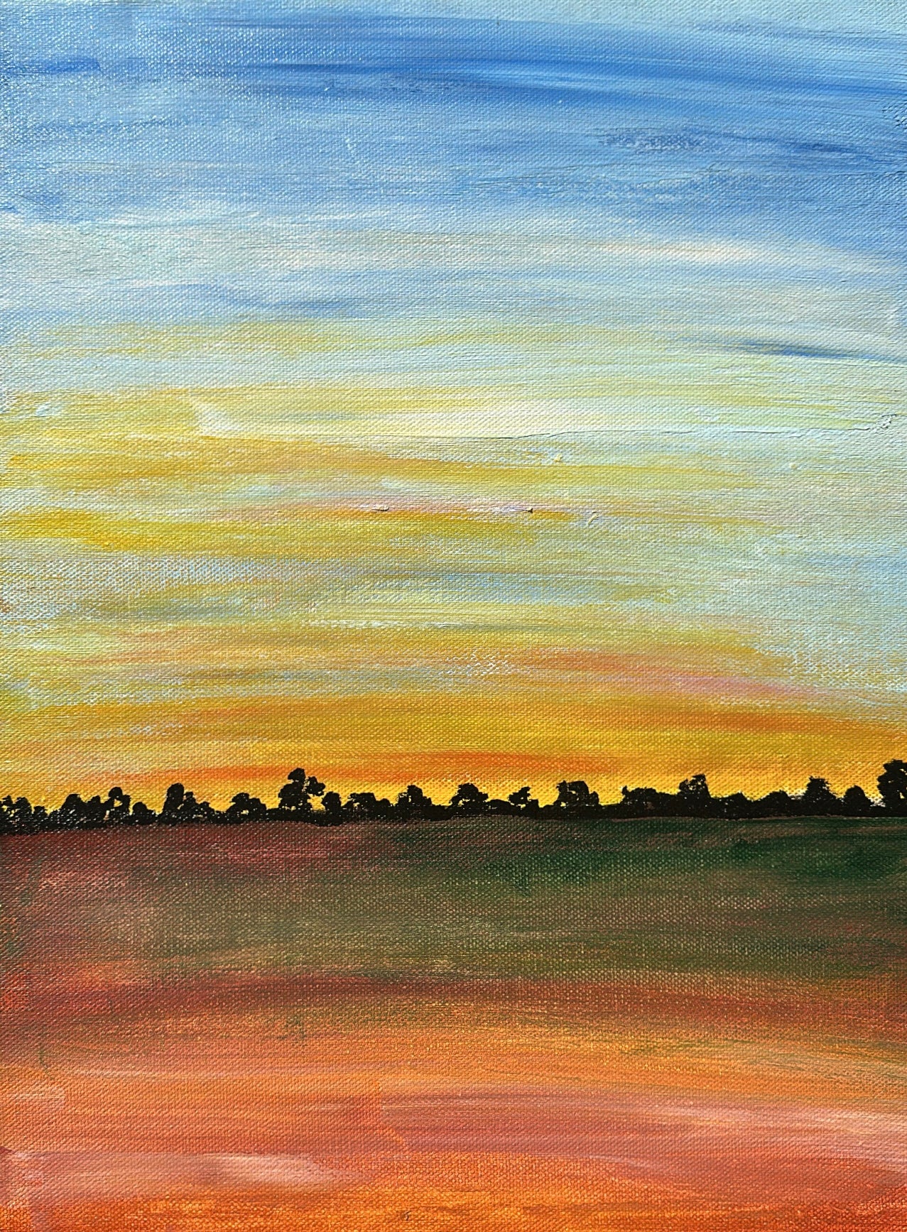 'Paddocks At First Light'