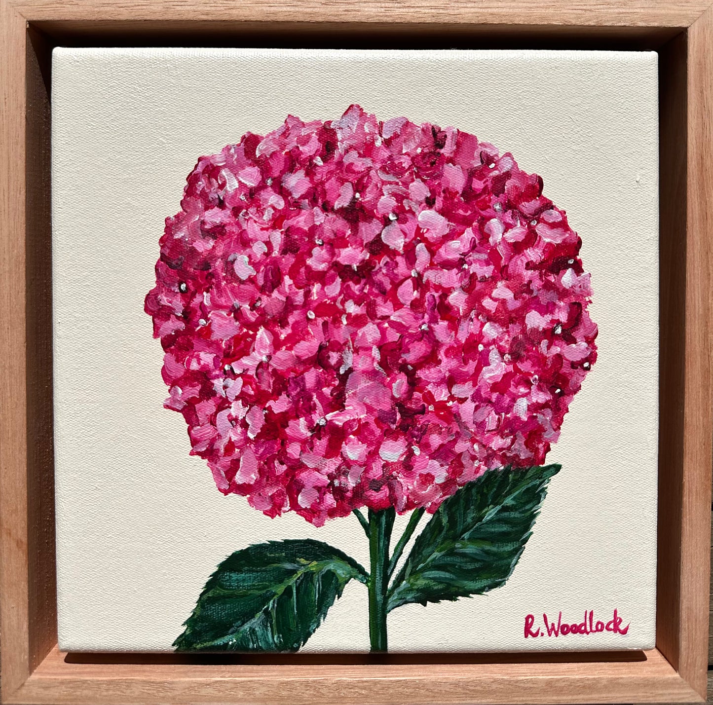 'Stem & Bloom'