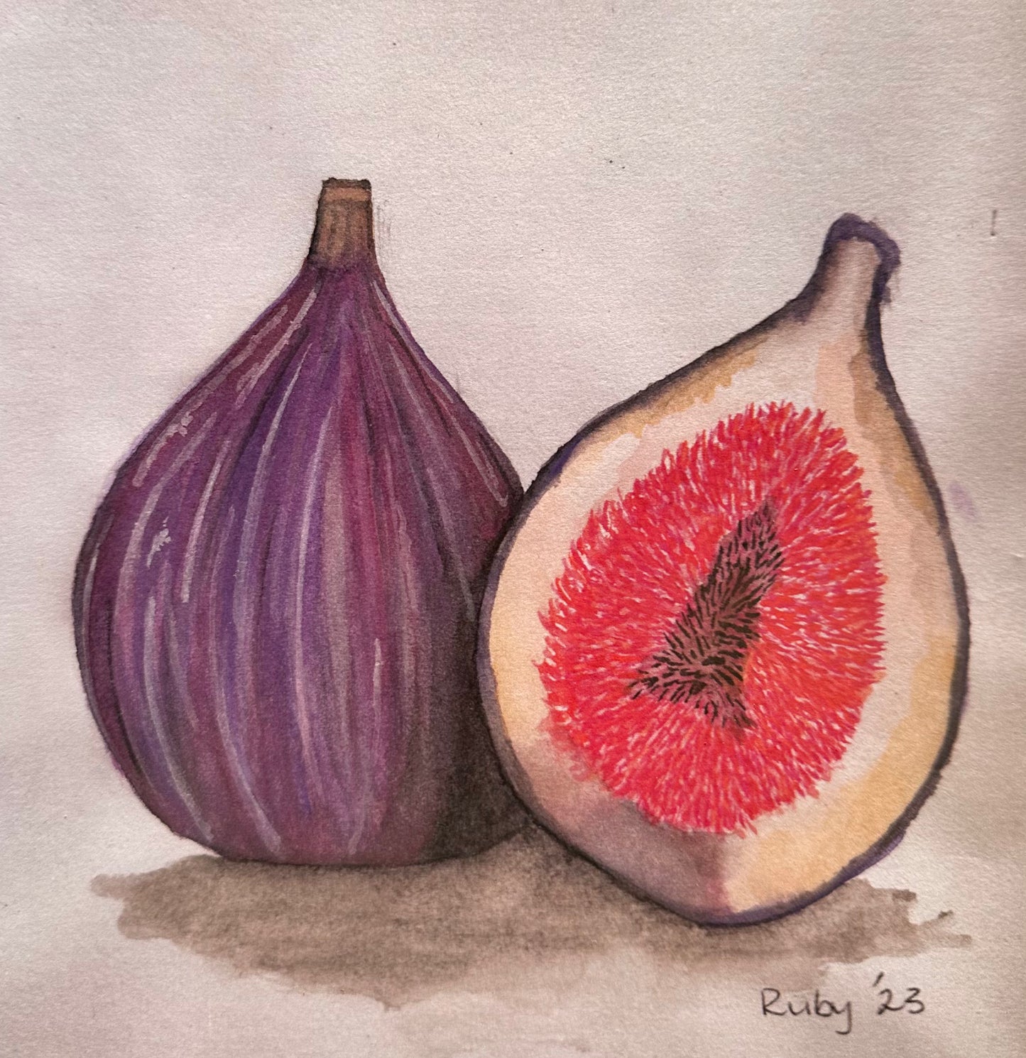 'Figs' - PRINT