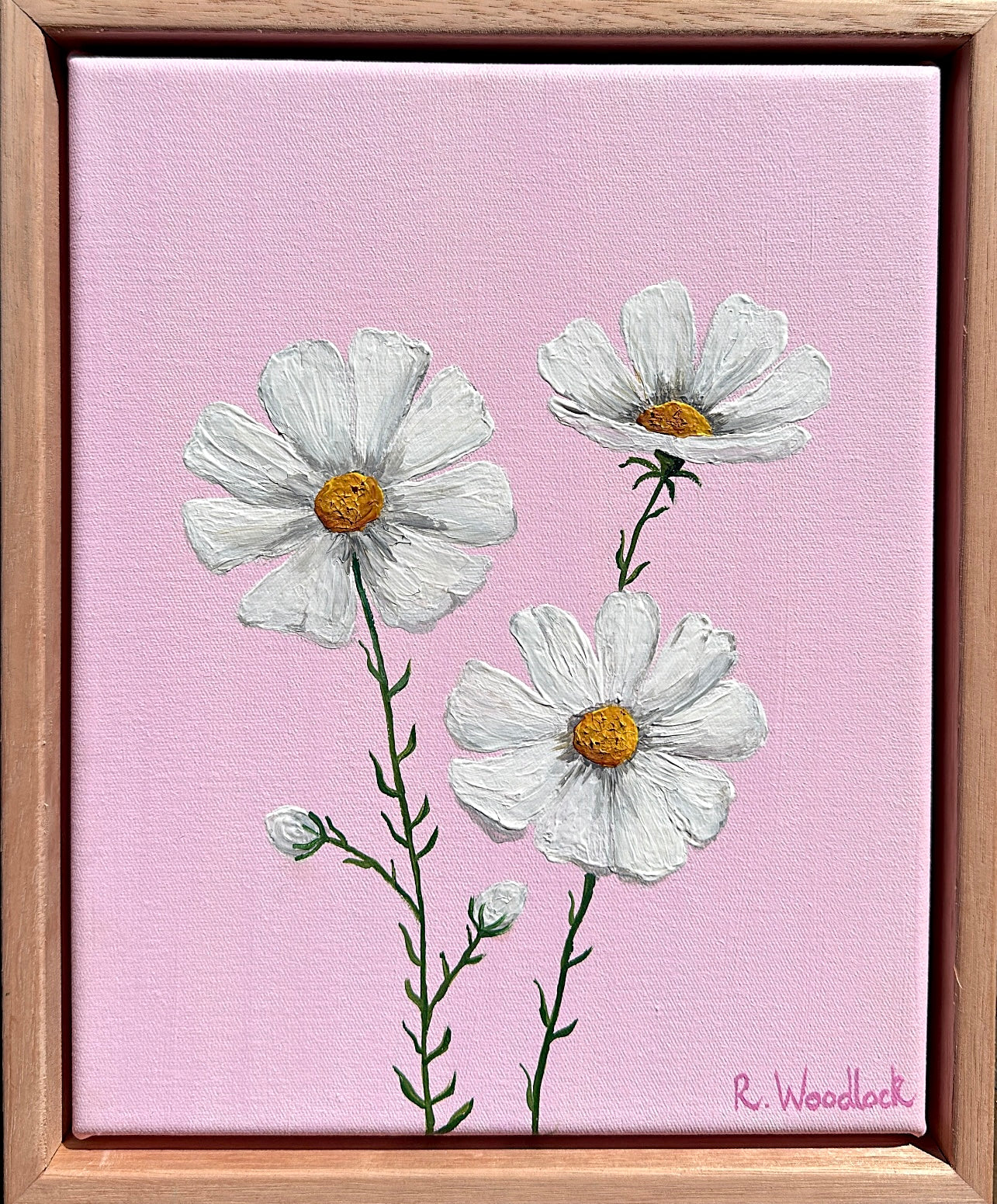 'Cosmos In Bloom'