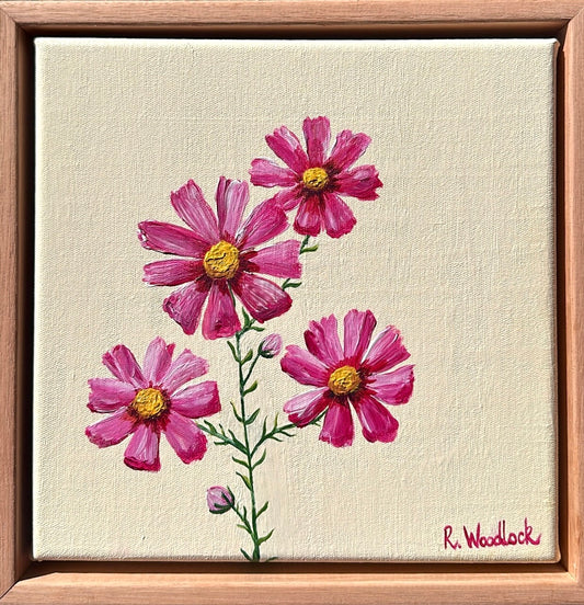 "Cosmos On Cream"