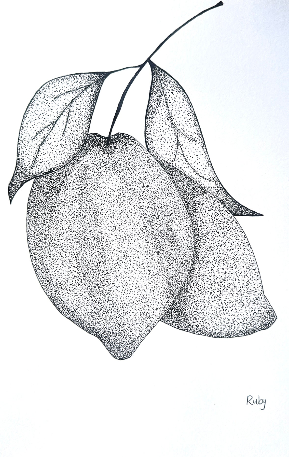 'Lemons' - PRINT