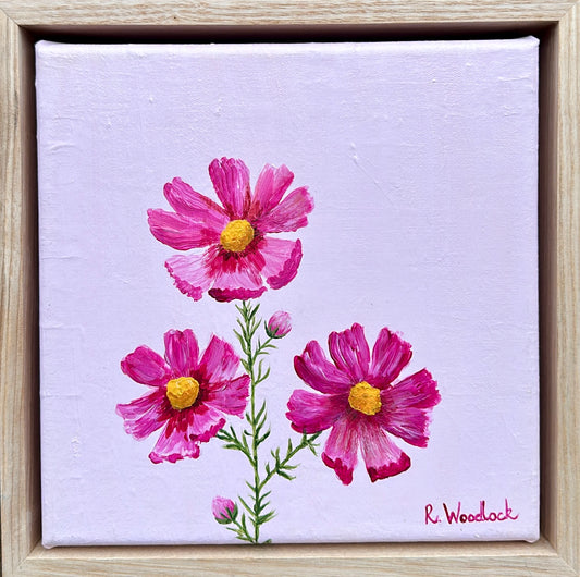 ‘Cosmos Patch’