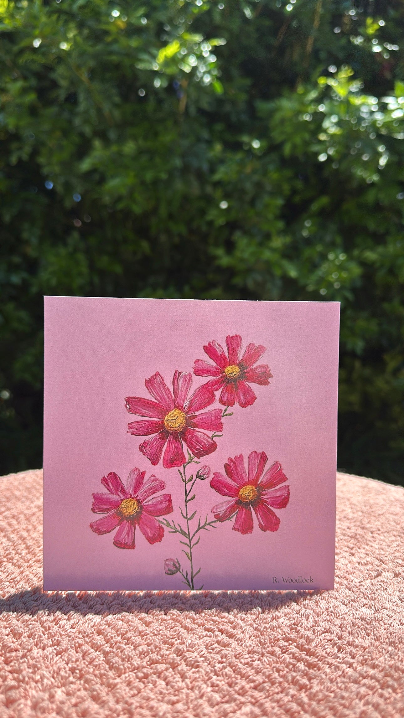'Cosmos' - GREETING CARD