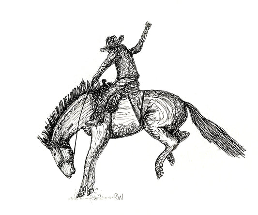 'Rough Stock Rider'