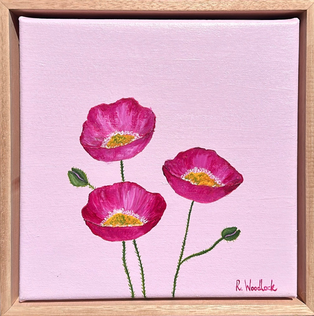 'Pink Poppies'