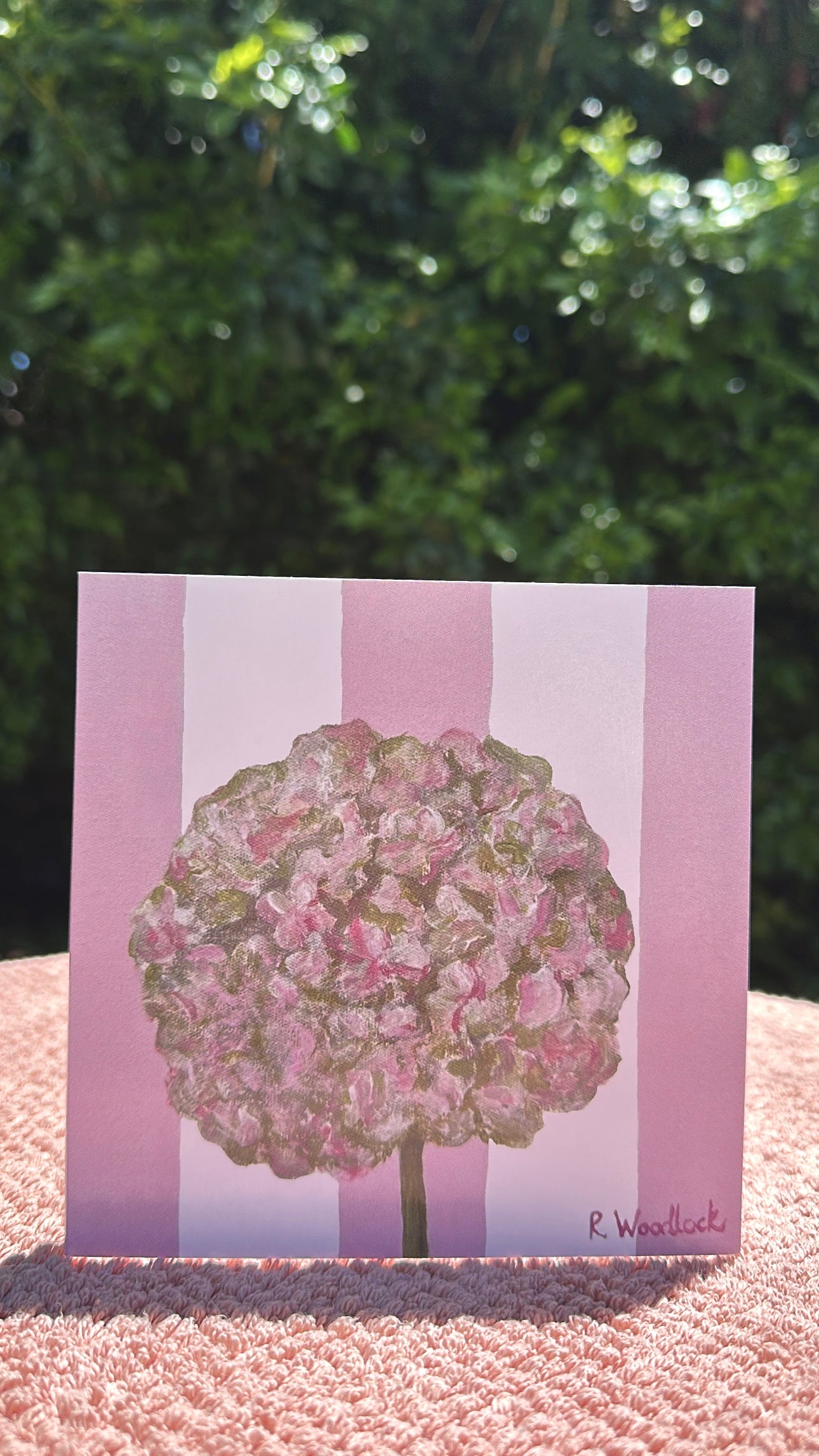 'Hydrangea' - GREETING CARD