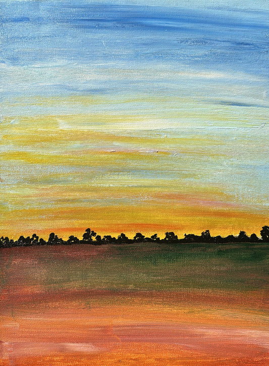 'Paddocks At First Light'