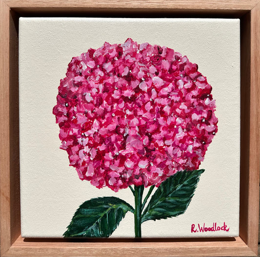 'Stem & Bloom'