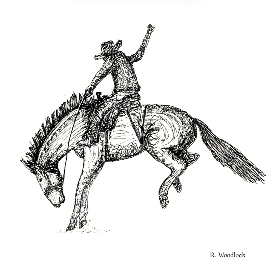 'Rough Stock Rider' - PRINT