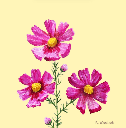 'Pink Cosmos On Yellow' - PRINT