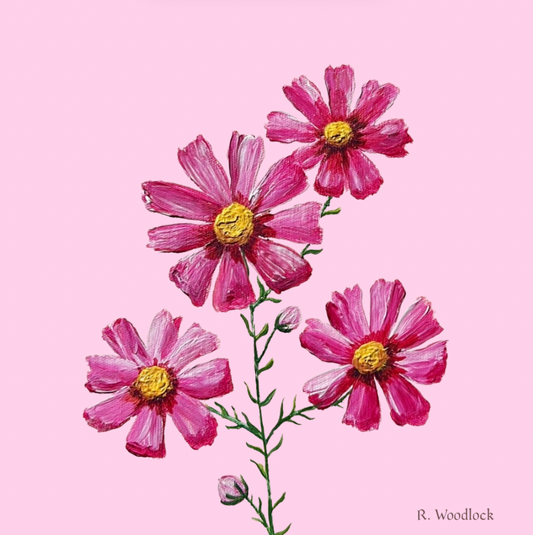 'Pink Cosmos' - PRINT