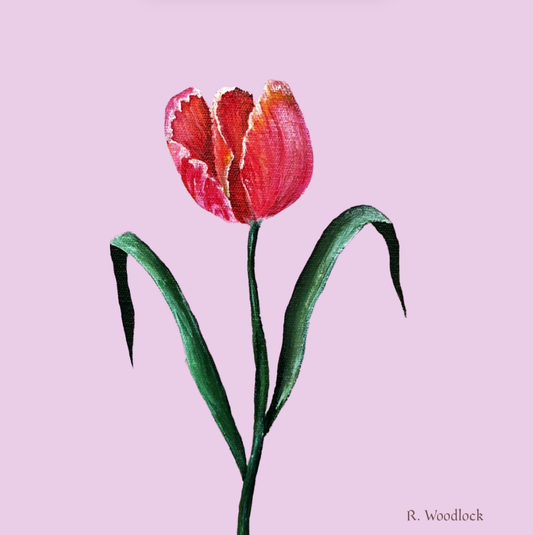 'Pink Tulip Portrait' - PRINT