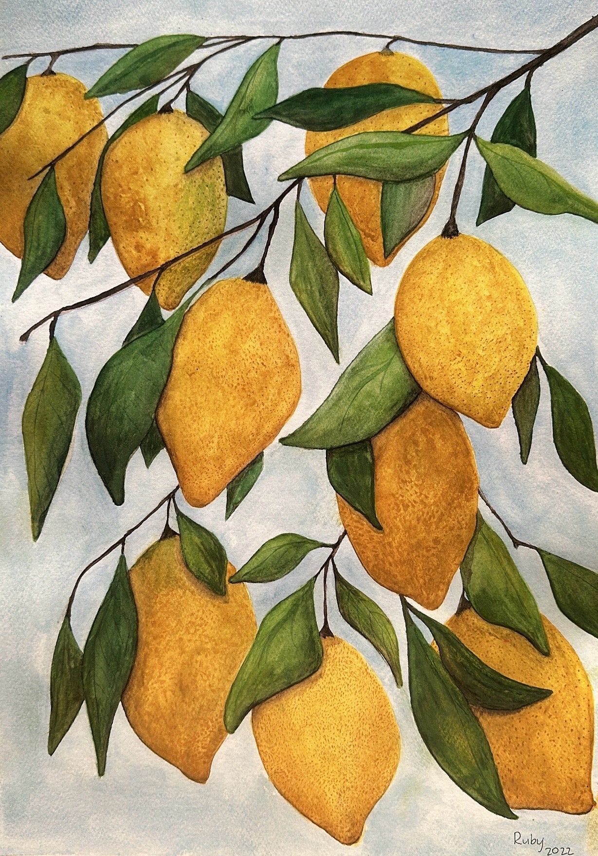'Ripe For The Picking' - PRINT